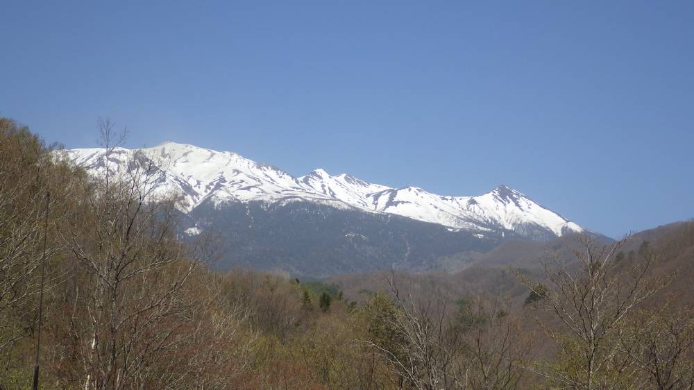 b0062687_13120686.jpg