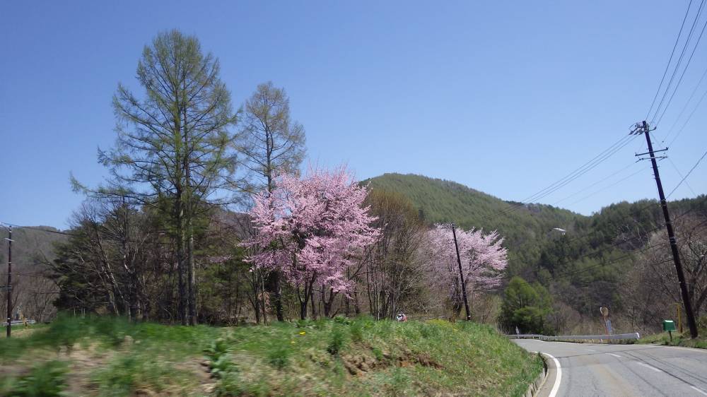 b0062687_13193515.jpg