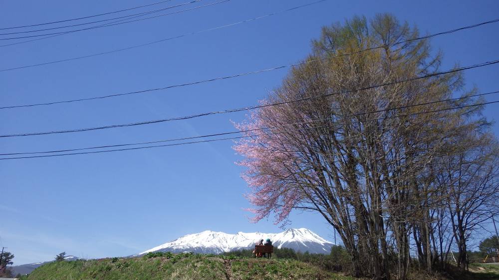 b0062687_16575808.jpg