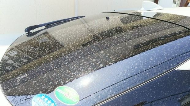 c0109891_15135399.jpg