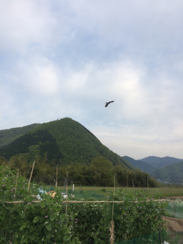 a0348193_00173715.jpg