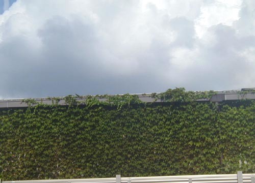 d0053294_23364244.jpg