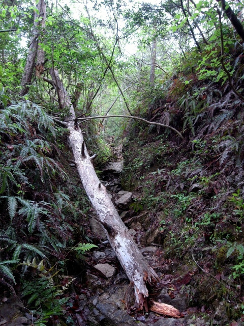 f0325295_10254950.jpg
