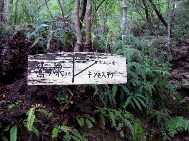 f0325295_10274592.jpg