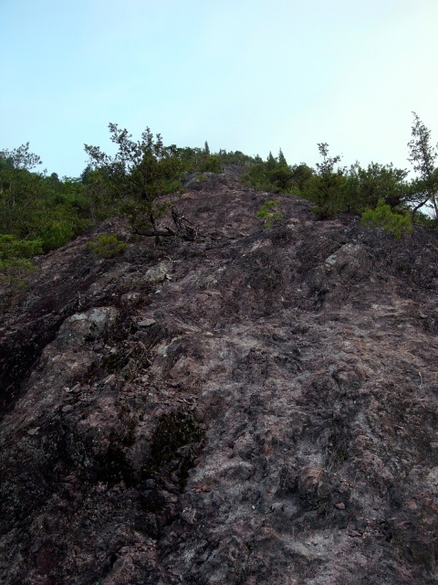 f0325295_10344341.jpg