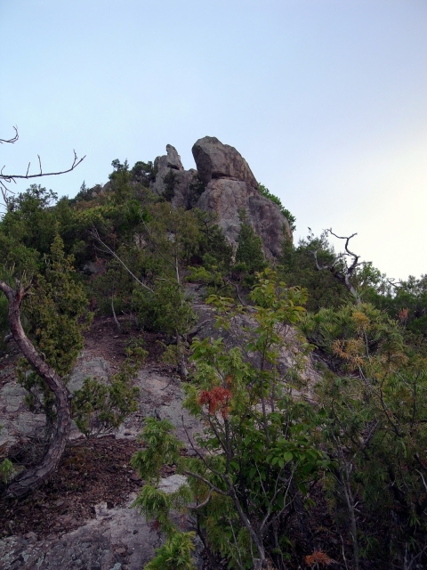 f0325295_10380675.jpg