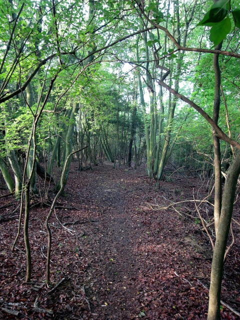 f0325295_10515044.jpg