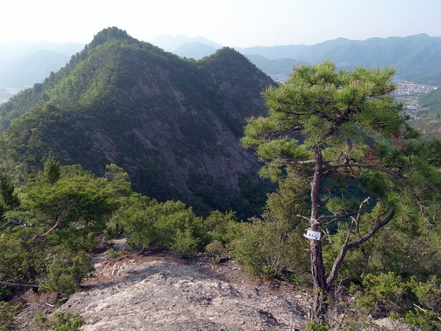 f0325295_11003725.jpg