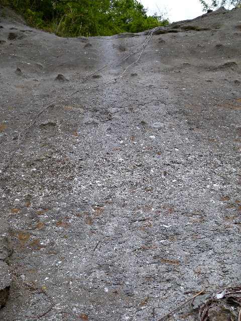 a0199297_20402712.jpg