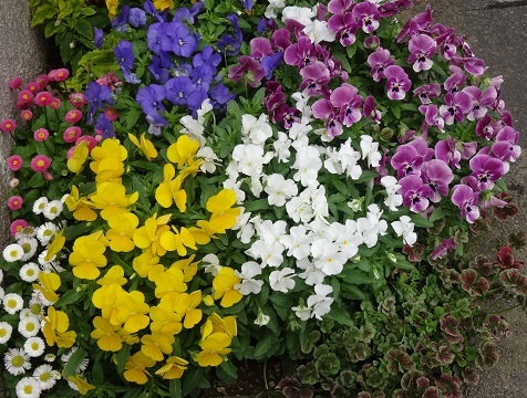 d0257298_12425073.jpg