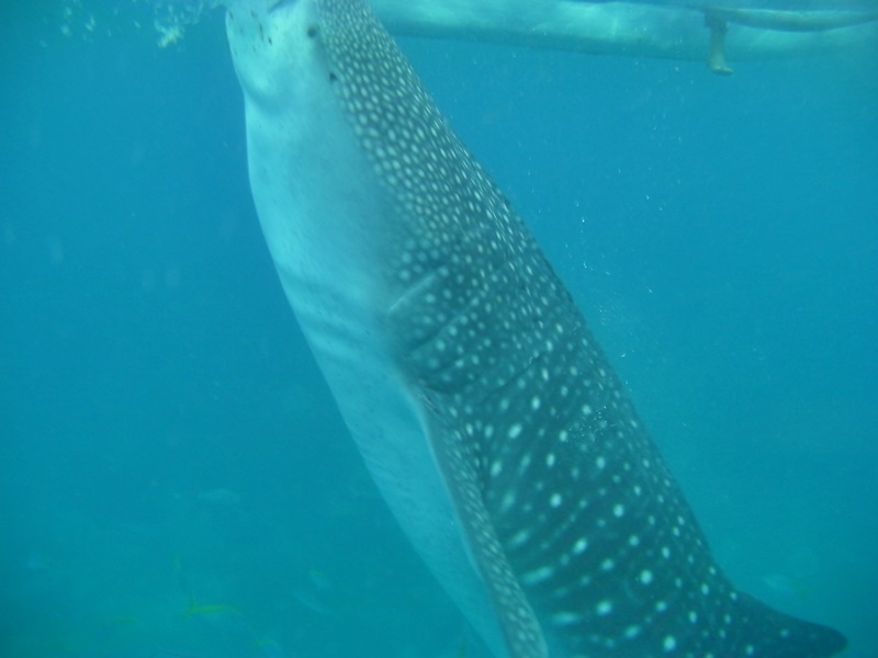 d0133704_14033525.jpg