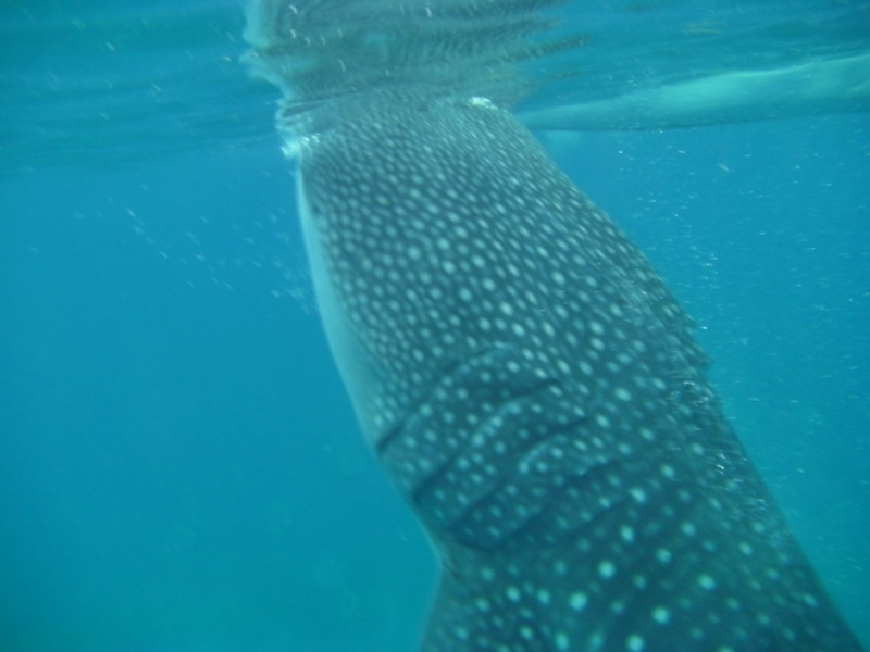 d0133704_14034224.jpg