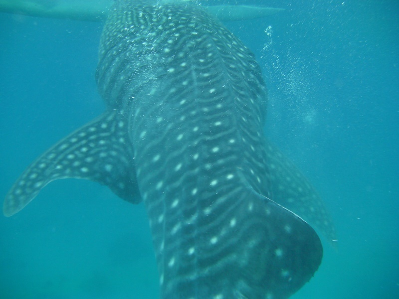 d0133704_14035107.jpg