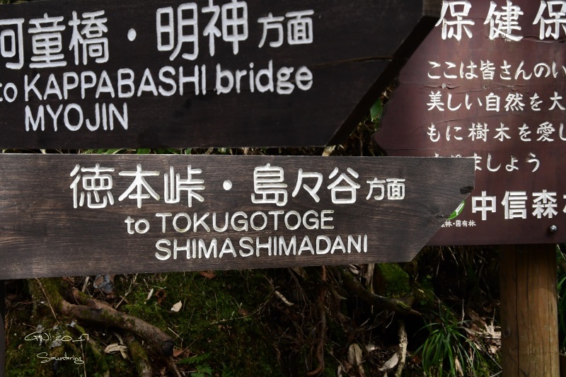 b0223512_01513275.jpg
