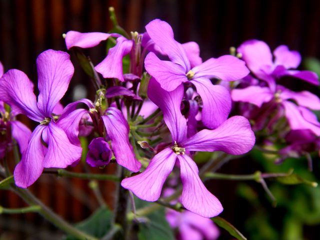 b0352112_14573676.jpg