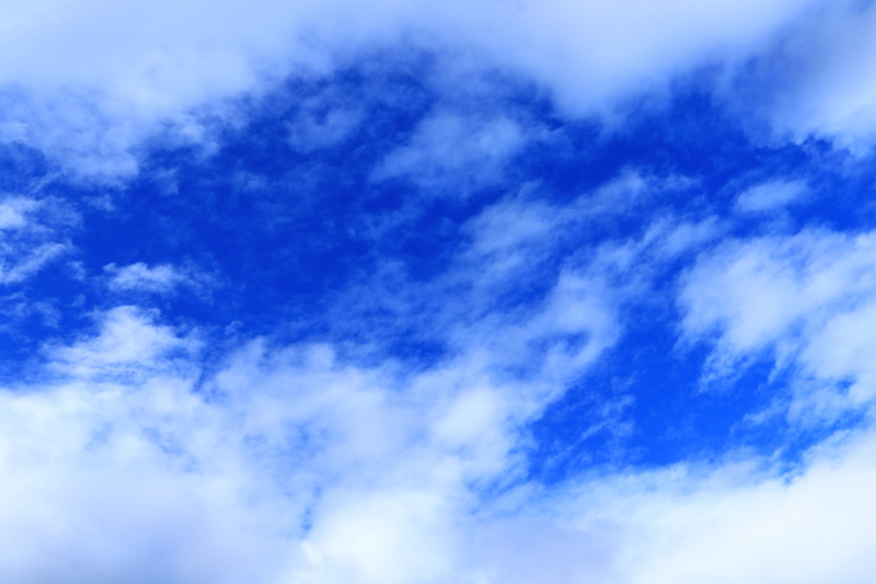 f0209122_16095402.jpg