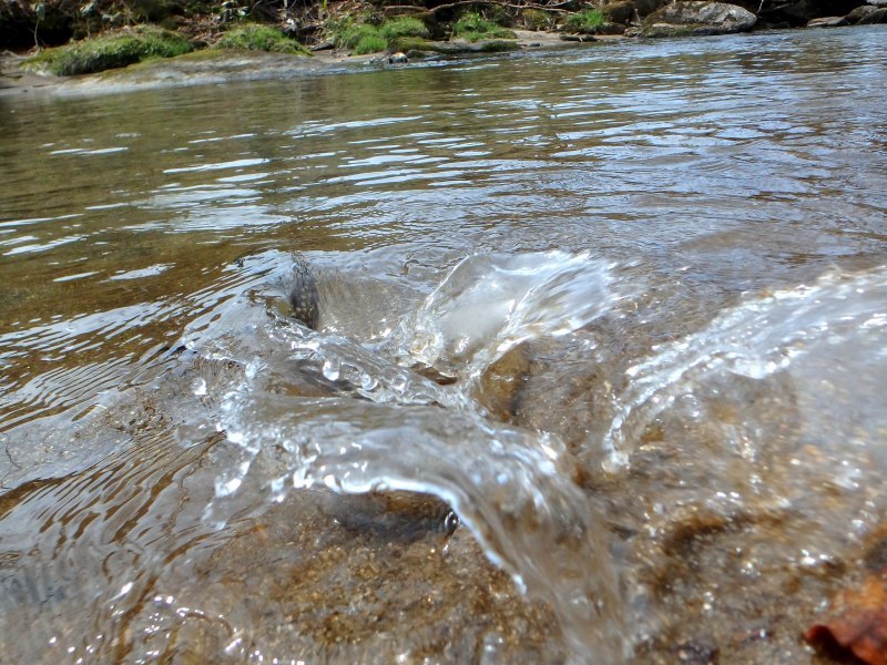 d0091323_16290621.jpg