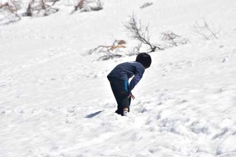 f0362524_19201277.jpg