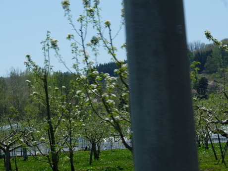 f0362524_19223737.jpg