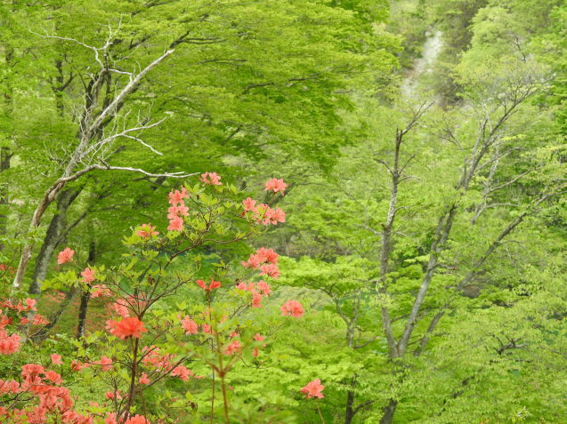 a0248728_16055083.jpg