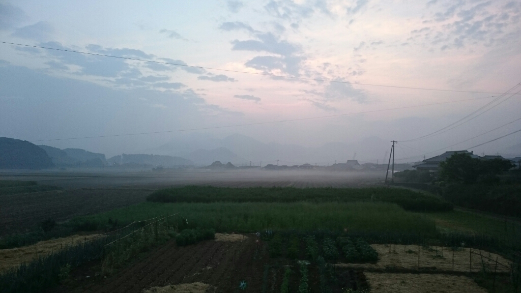 b0098228_07163300.jpg