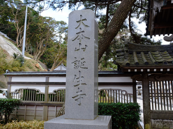 a0000029_7282311.jpg