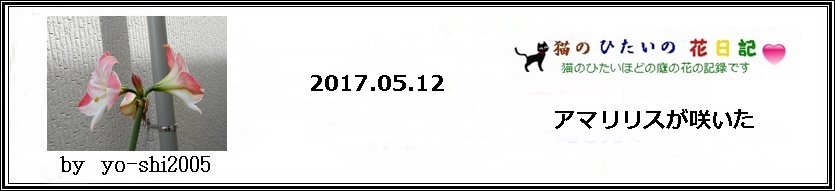 e0033229_17332867.jpg