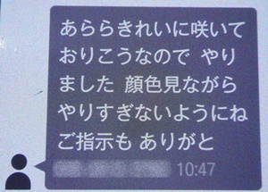 e0033229_182658100.jpg