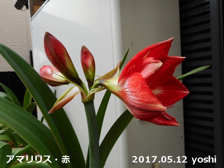 e0033229_186357.jpg