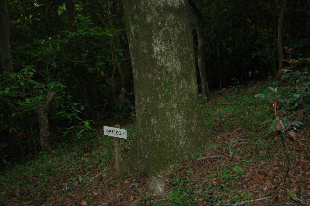 e0272335_1622652.jpg