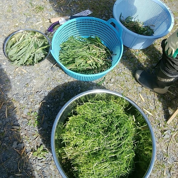 f0226836_12360605.jpg