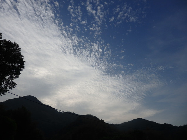a0054240_2024229.jpg
