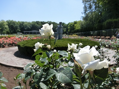 b0120541_12382899.jpg
