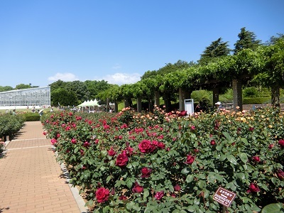 b0120541_12491853.jpg
