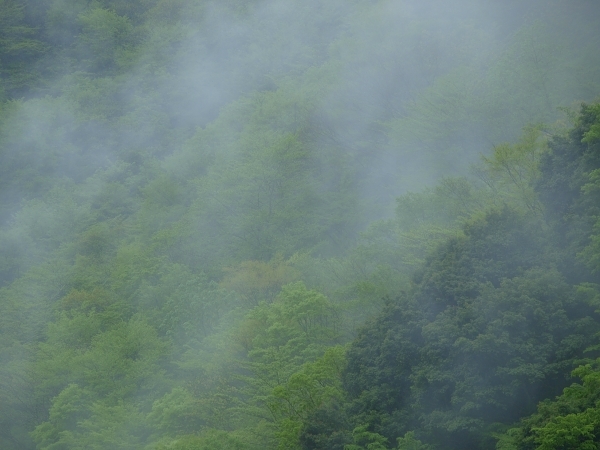 c0281841_12123244.jpg