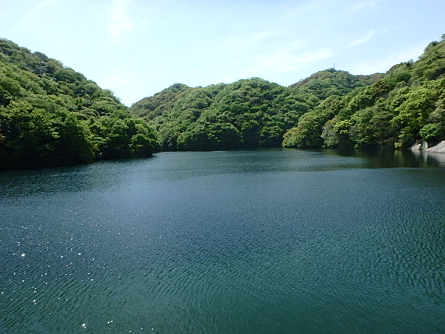 f0334143_8171185.jpg