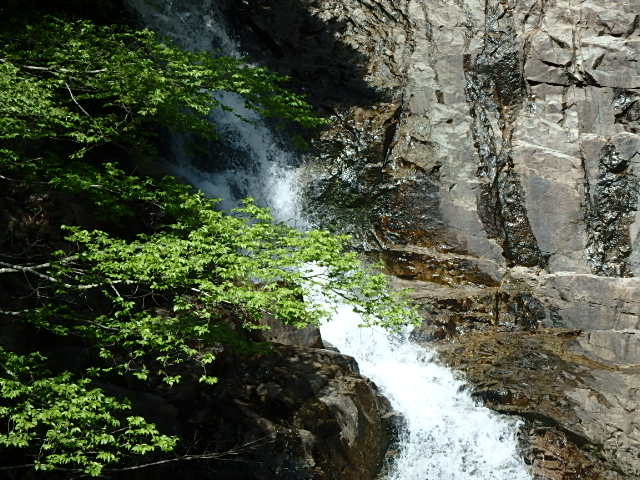 f0334143_8201891.jpg