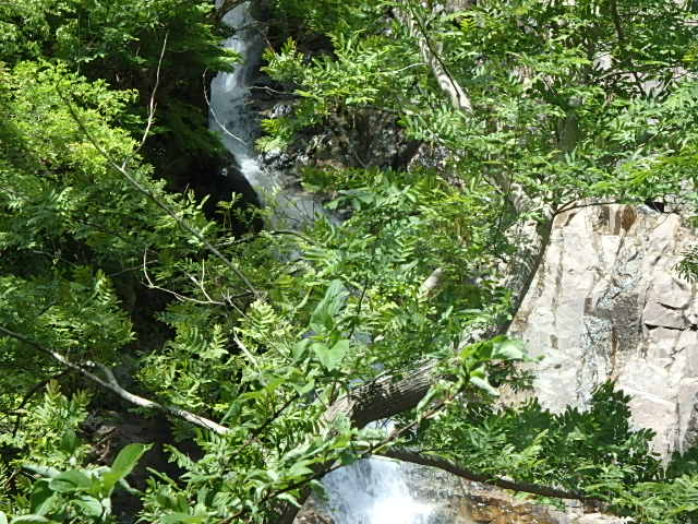f0334143_8211767.jpg