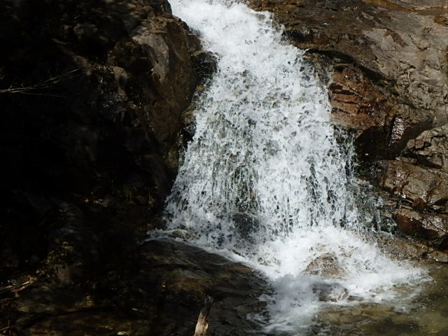 f0334143_821274.jpg