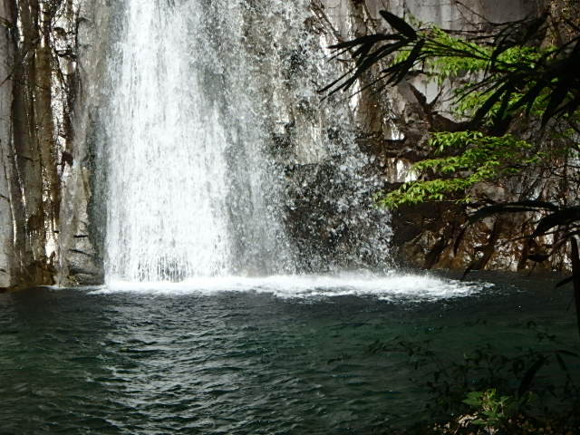 f0334143_8241331.jpg