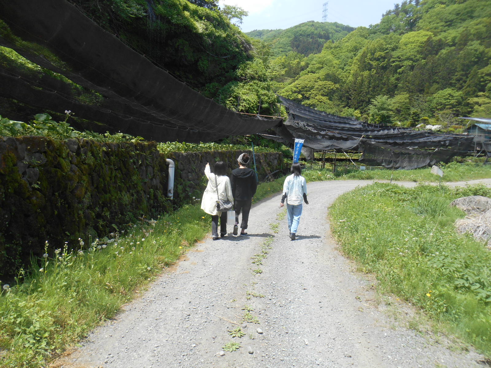 e0297347_13352877.jpg
