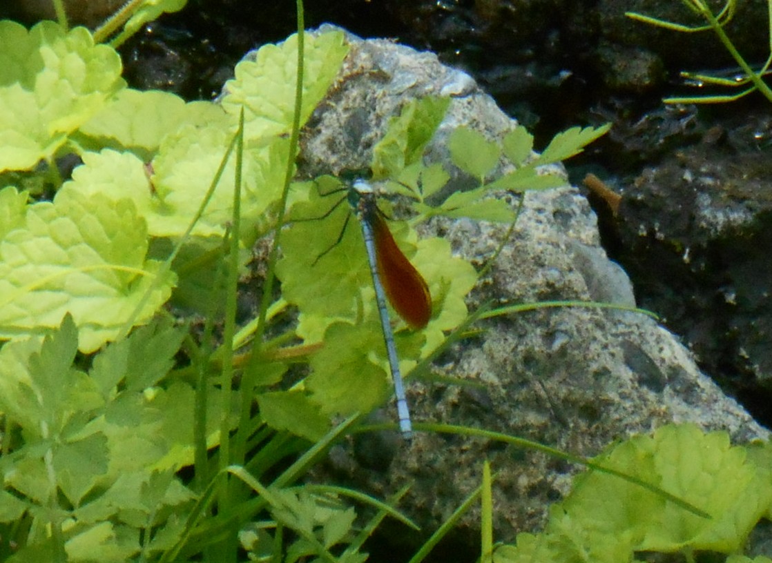 e0297347_16343517.jpg