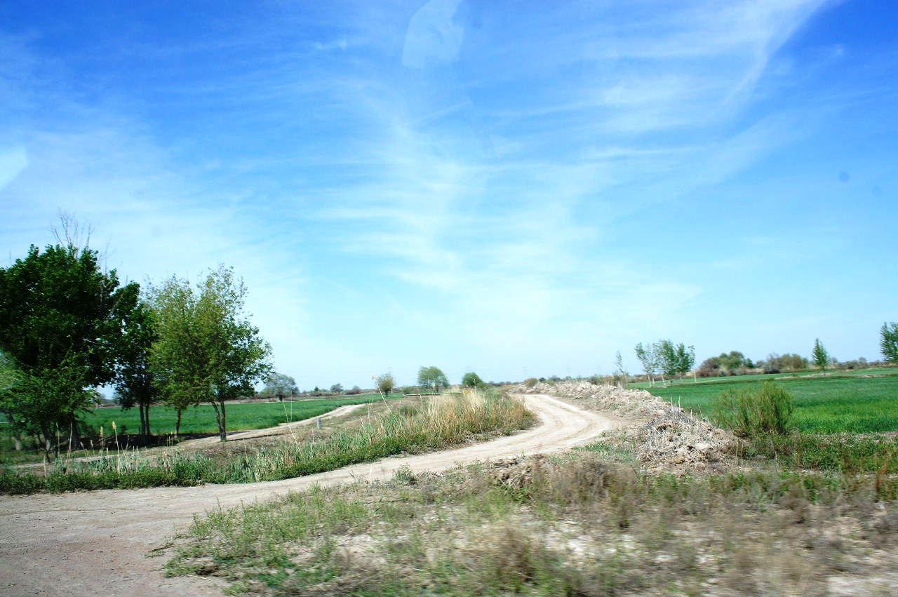 c0011649_01125534.jpg