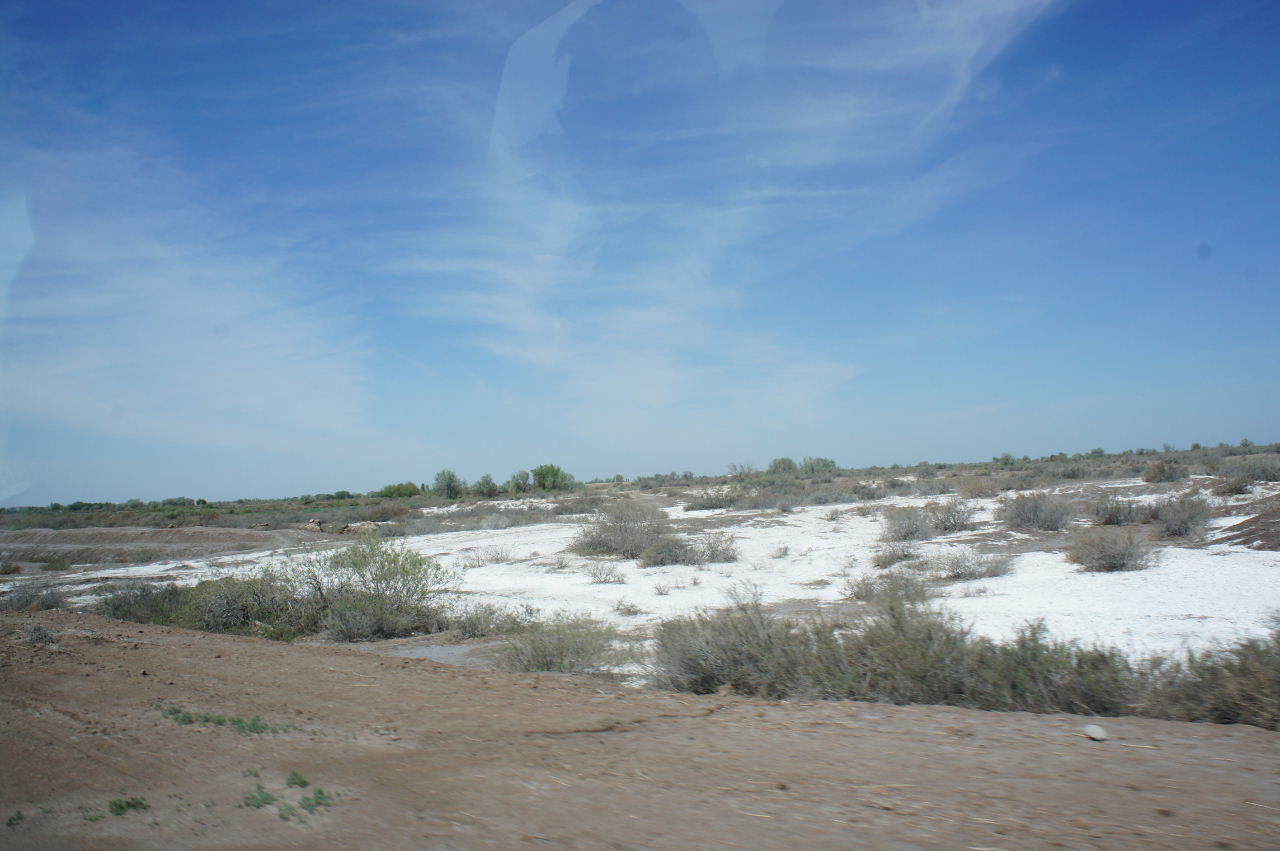 c0011649_01162082.jpg