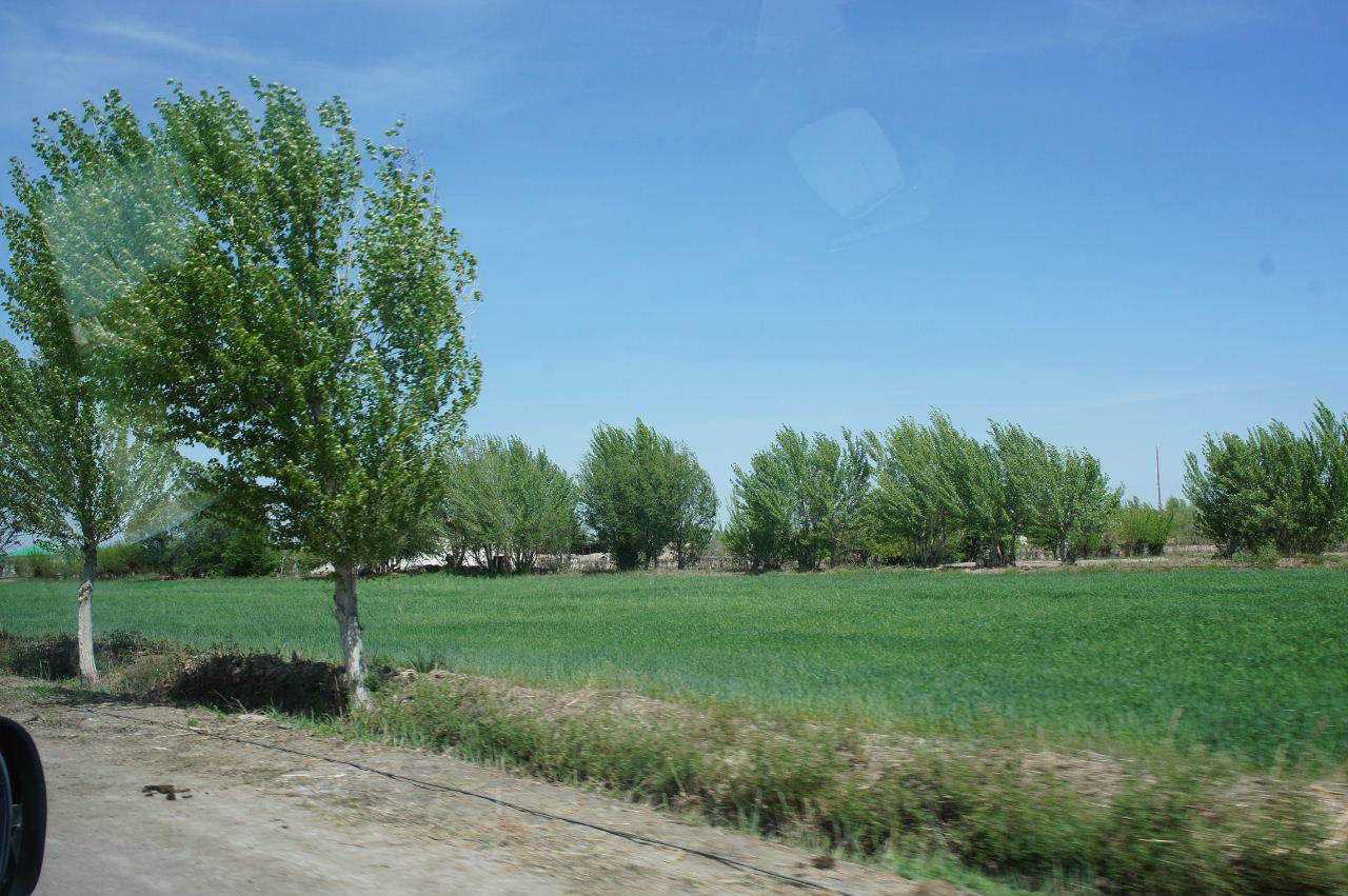 c0011649_01164336.jpg