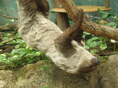 c0338451_00234365.jpg