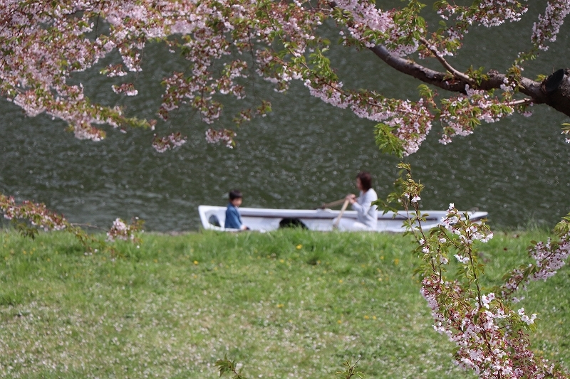 b0250154_20105891.jpg