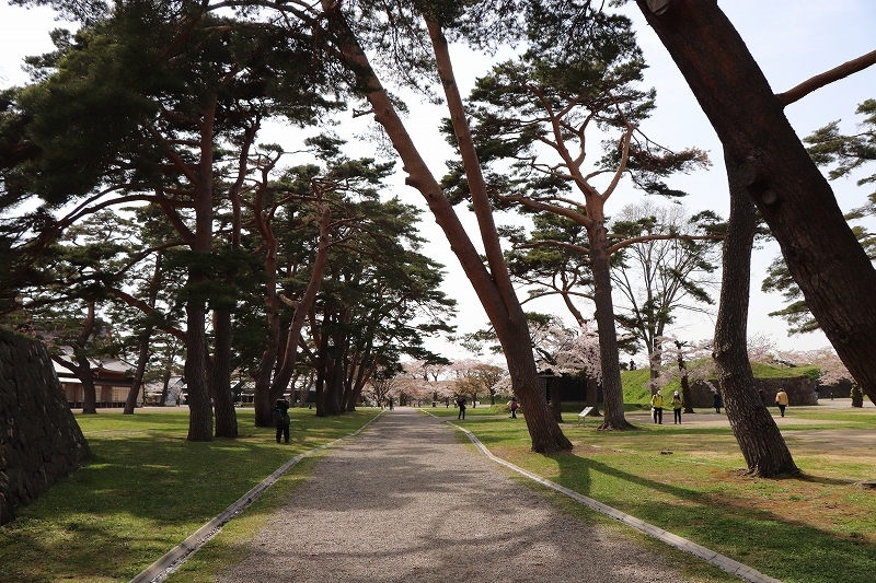 b0250154_20123690.jpg