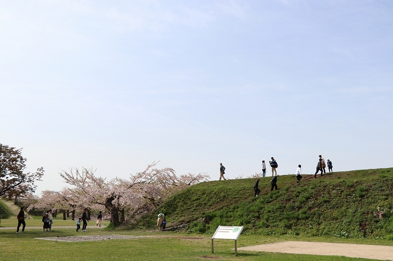 b0250154_20152352.jpg
