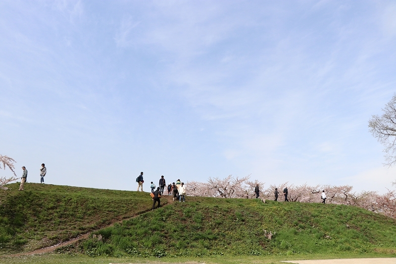 b0250154_20153511.jpg